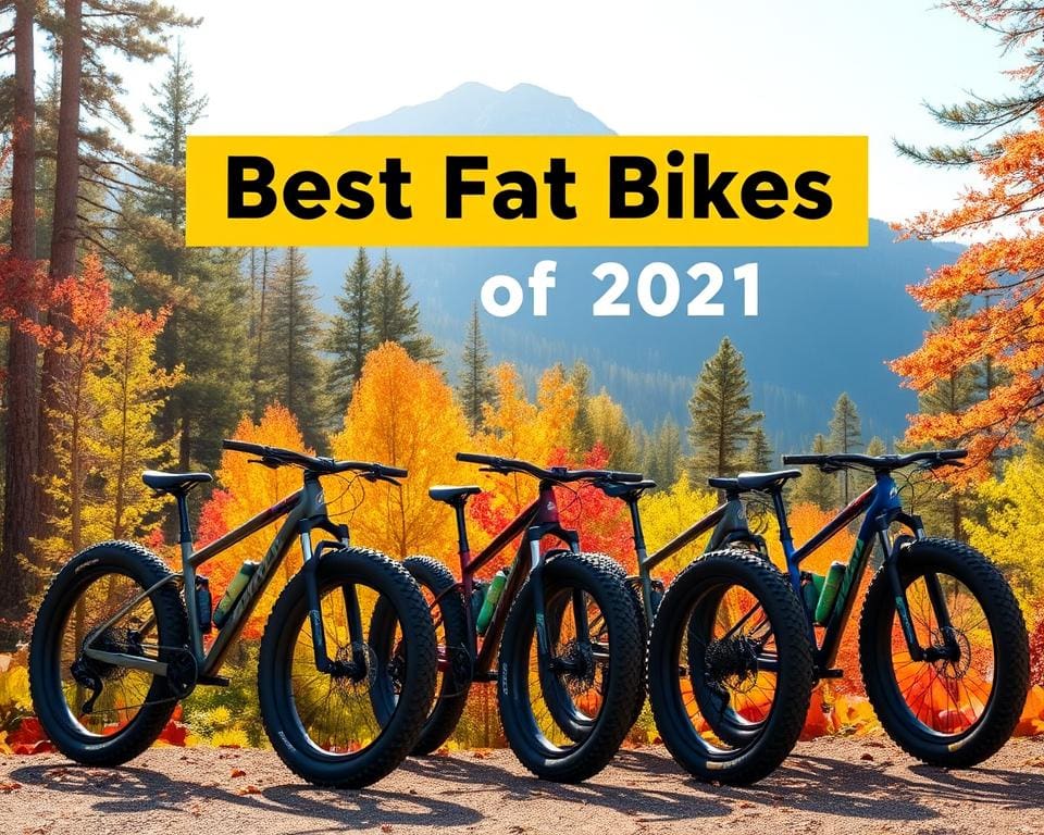 beste Fatbikes 2021